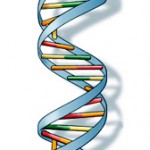 DNA