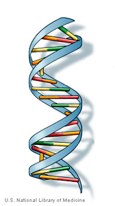 DNA