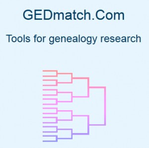 Dna Geek Chart