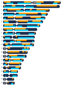 DNA.mismatch