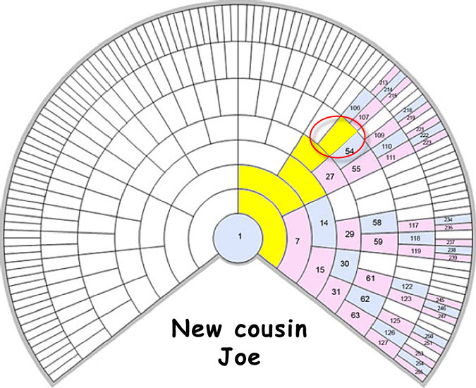 Joe