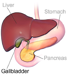 gallbladder