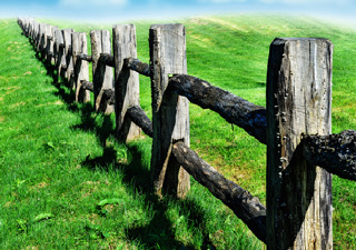 Old Wooden Fence At Green Field