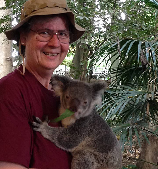 koala1