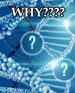 why DNA