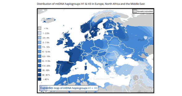 mtDNA H1 and H3