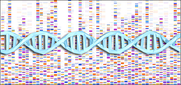 DNA results