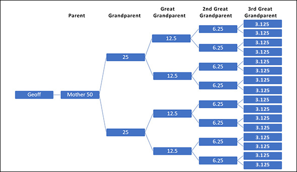 Inheritance chart