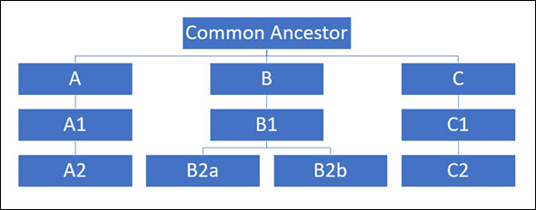 family chart