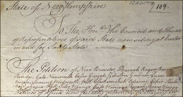 Brewster petition