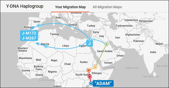 Migration path