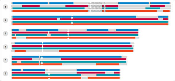 chromosome graphic showing siblings